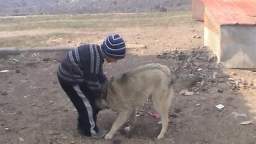 Луценко - 2006.04