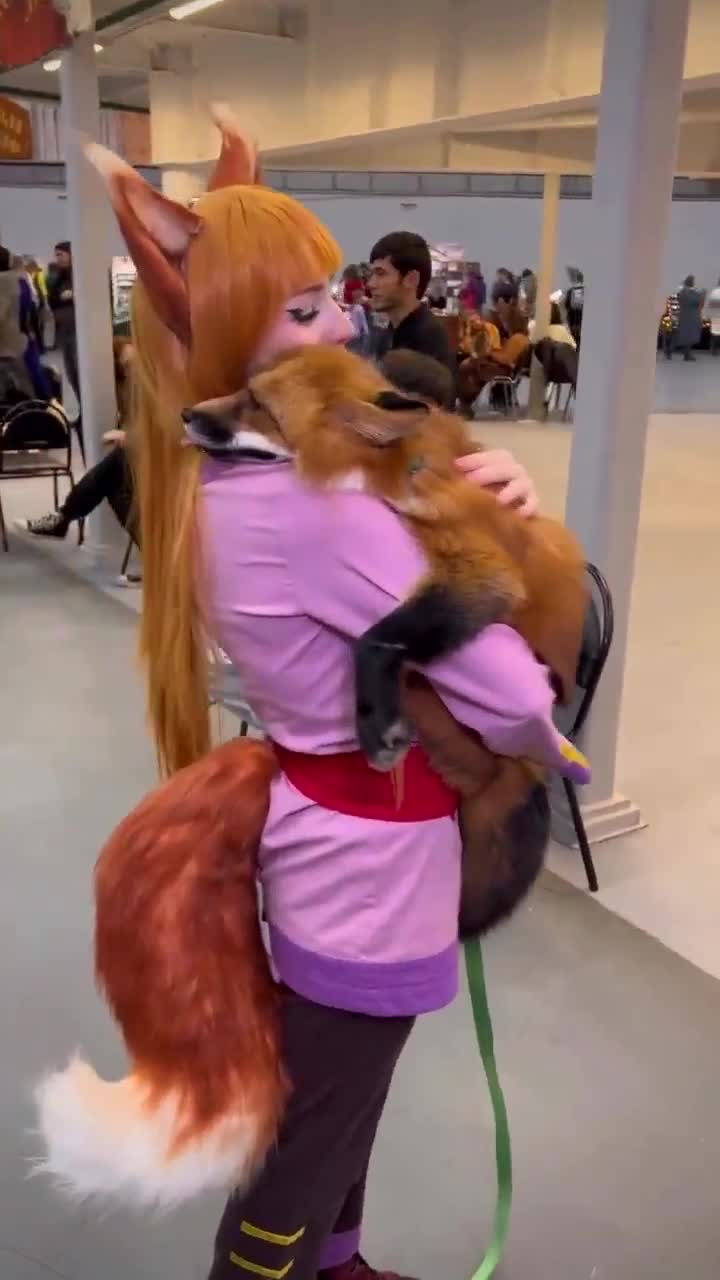 A Furry and her adorable fox #minis