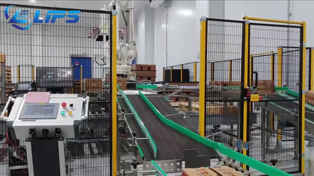Robot palletizer for cold chain products in cooling room#palletizing#robot#packaging#technology