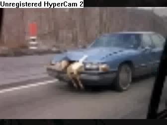 weird crazy and bad car wrecks