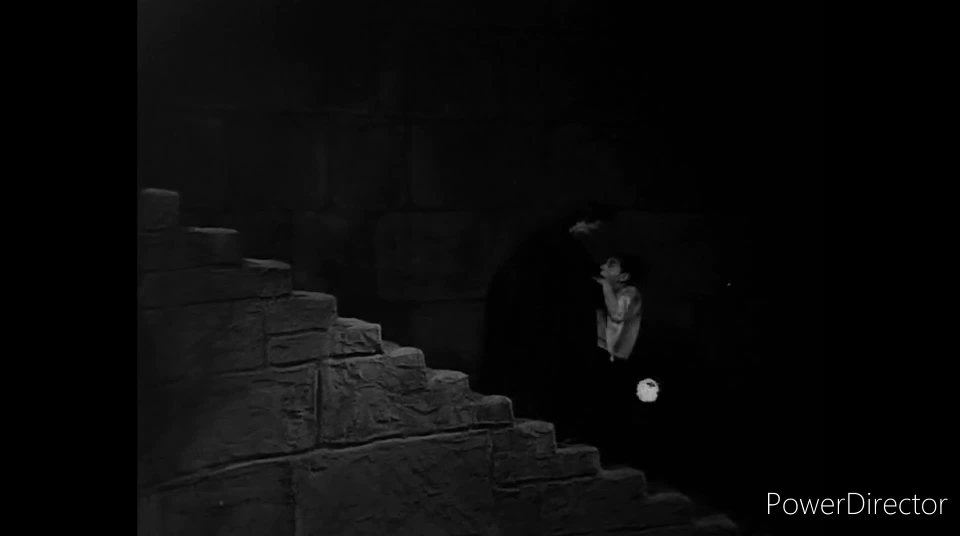 Cottons Watched A Scary Movie