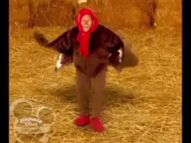 Wiggle y aprende - El pavo