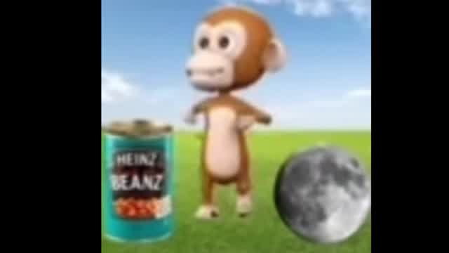 Mono bailando/monkey dancing