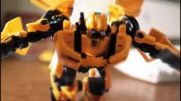 Bumblebee Boy