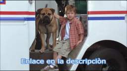 Descargar Spot perro policia (See Spot Run) Latino HD