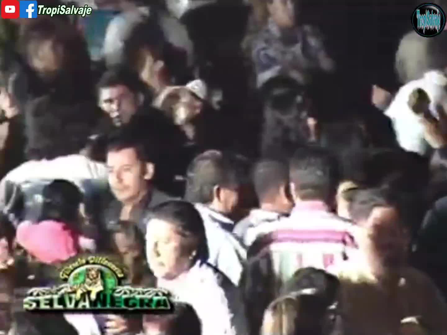 La Osa Selva Negra fiera records