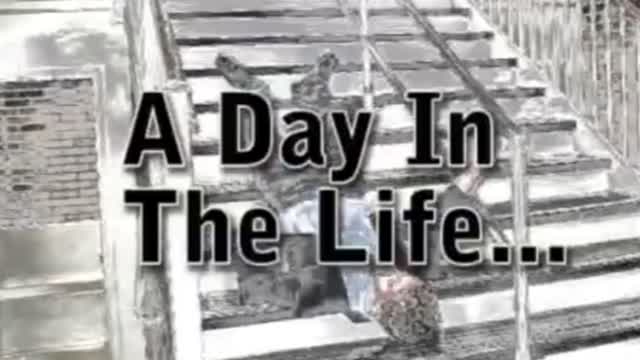 A Day in the Life