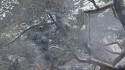 streamladder-MONSTER HUNTER RISE_2023