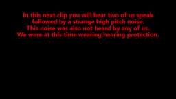 Disturbing Noises Captured in Woods
