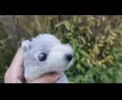 Nunca_Pens�_Que_esta_T�cnica_Sirviera.3gp Nunca_Pens�_Que_esta_T�cnica_Sirviera.3gp