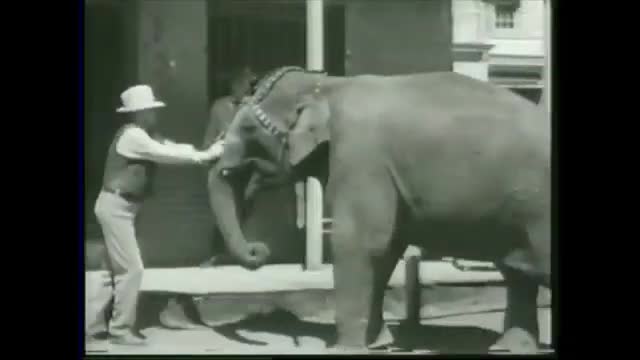 Weird Al Yankovic, Bill Clinton - Bimbo No.5