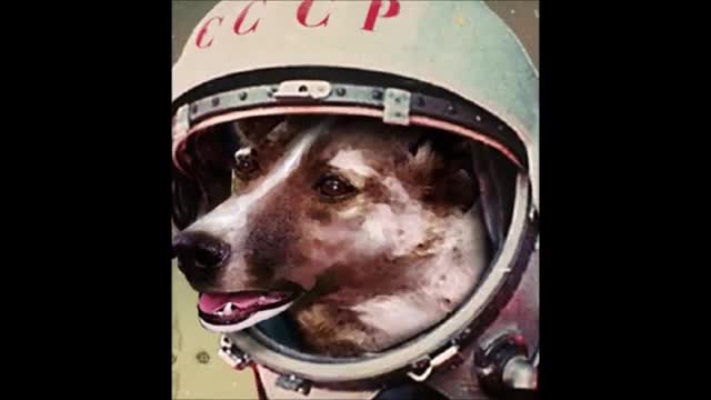 264 El Bosco viajero del tiempo Laika la primera perrita en viajar al espacio en cuadro el Bosco 264 El Bosco viajero del tiempo Laika la primera perrita en viajar al espacio en cuadro el Bosco