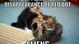 hilarious cats compilation!
