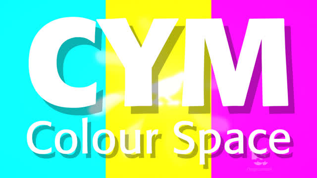 Margrette Bird Pictures in the CYM Colour Space