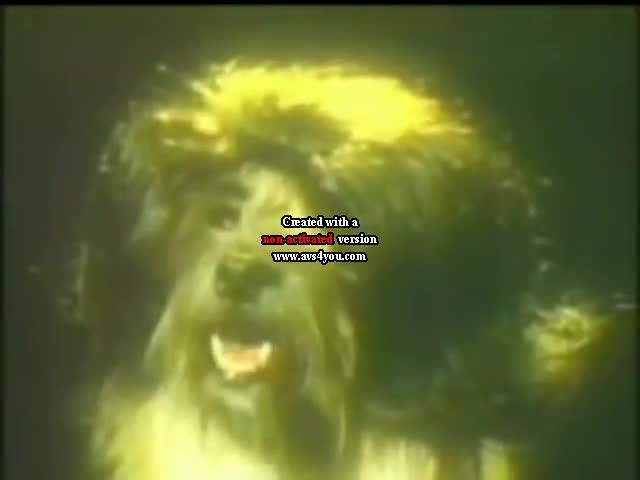 YouTube Poop - Musov EletricShoko - Ballad To A Wigged Weegee