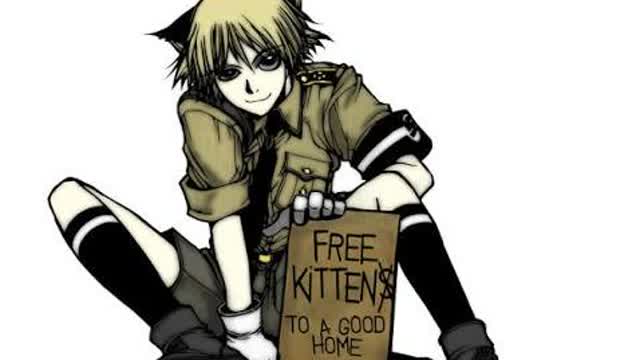 schrodinger hellsing