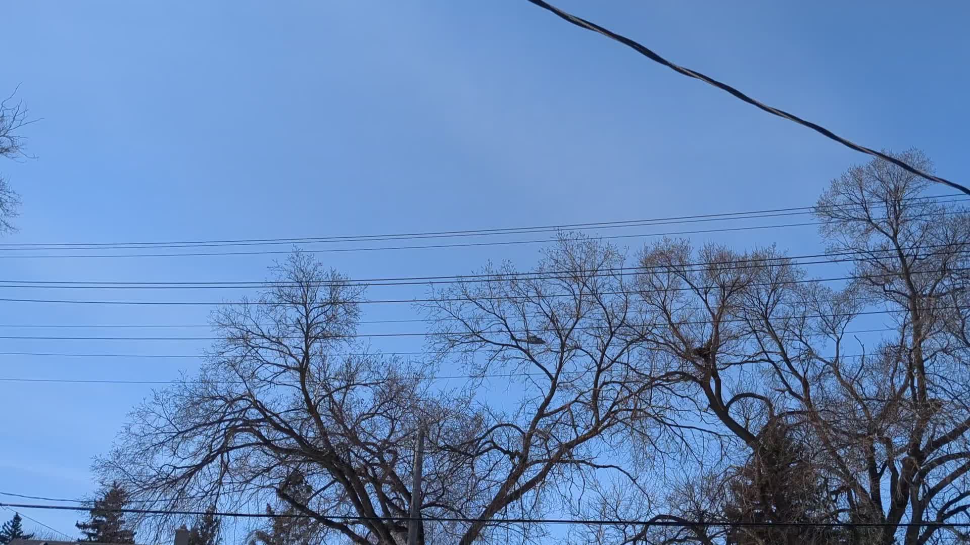 Canadian Helicopter 🚁 Landing