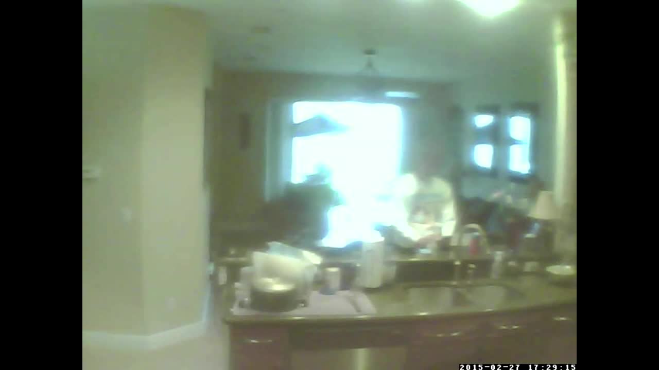 IP Camera Trolling - Caught Like A Spider IP Camera Trolling - Caught Like A Spider