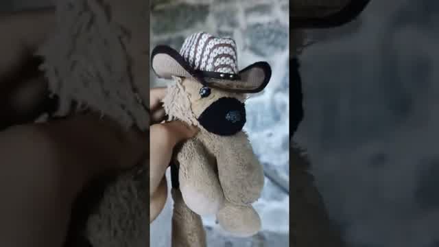 Cada cosa lleva su Tiempo