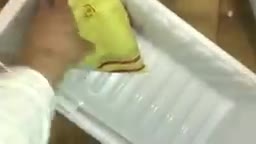 SCARY CHEESE MONSTER HANDS (HALLOWEEN COSTUME)