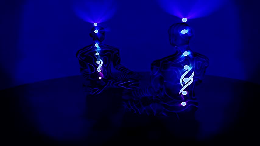 IRIDESCENT FFA (GSB SECTION)