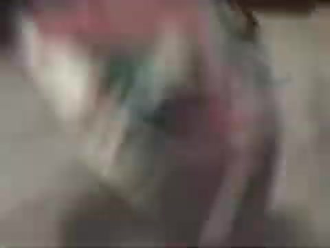 Gamecube Games 2007 Gamecube Games 2007