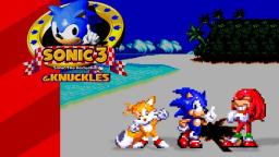 Sonic The Hedgehog 3 & Knuckles -Bloxed