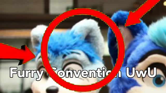 Anti Furry VS Furries War