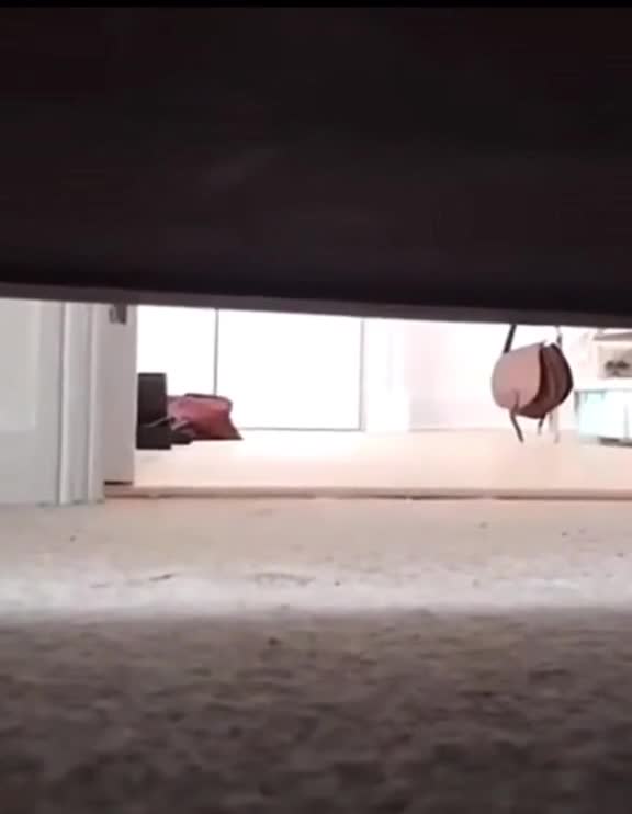 under the bed
