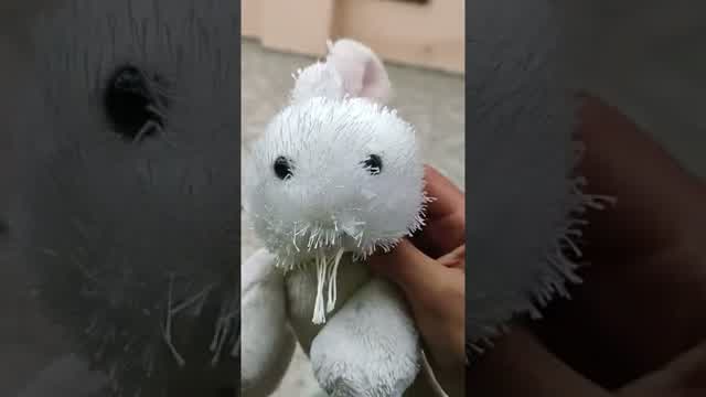 La persona más tonta del mundo