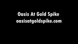 Vintage Las Vegas Hotels - Oasis At Gold Spike (702) 768-9823