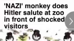 nazi monkey lets go