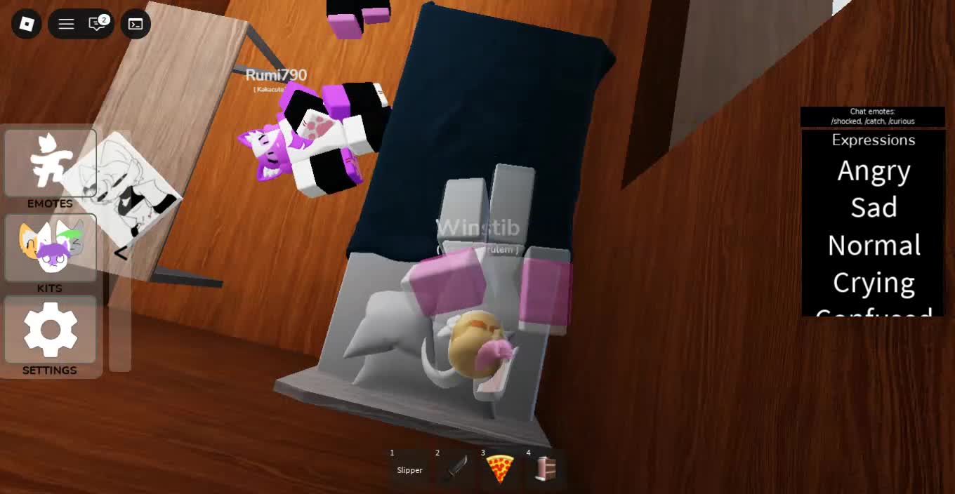 Roblox-2025-12-29T00_08_42.393Z Roblox-2025-12-29T00_08_42.393Z