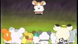 Hamtaro_S02E53 - Ham-Hams Halloween! Hamtaro_S02E53 - Ham-Hams Halloween!