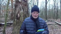 Rettung aus dem Chaos - aber wie?