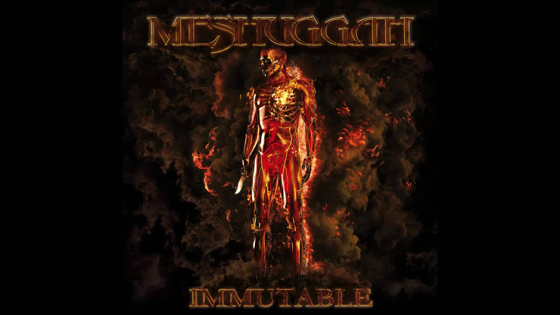 Meshuggah - God He Sees in Mirrors