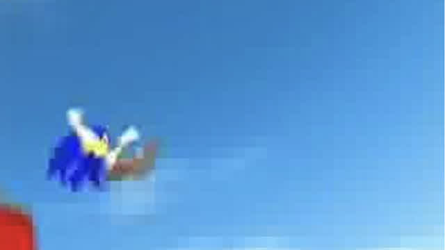 Sonic & Shadow The Hedgehogs- Watch Me Fly