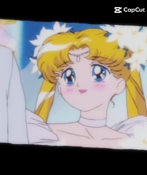 Bunny x mamoru video