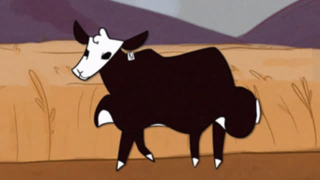 Walking The Cow Walking The Cow