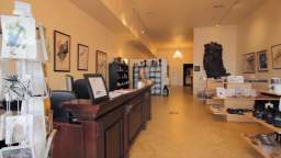 What's the International Art Museum of America