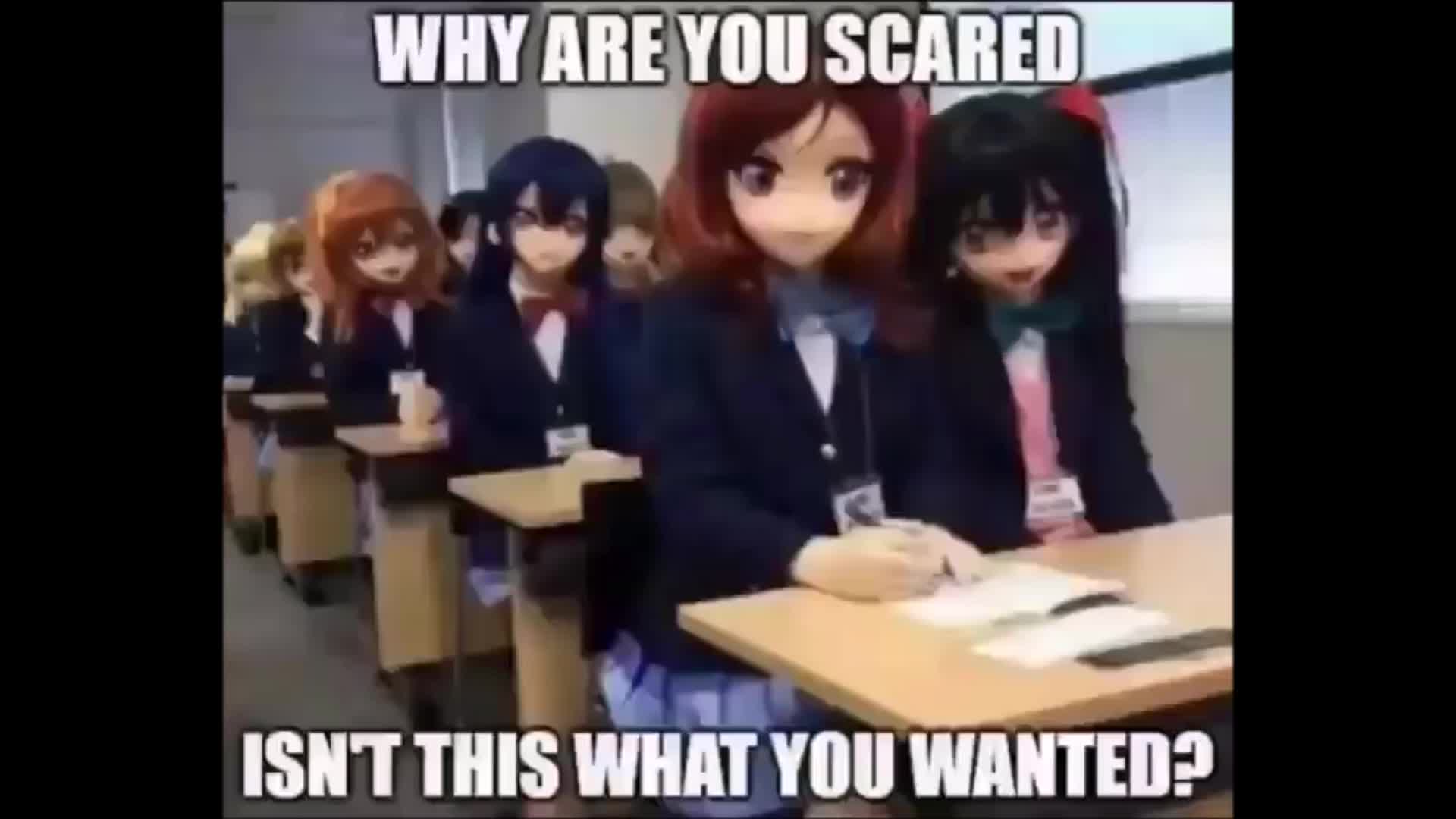 Why are you scared EXTENDED