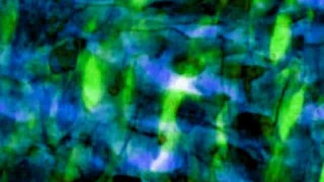 Imperioso - Bull of Heaven (full album)