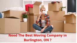Get Movers | #1 Local Moving Company in Burlington, ON
