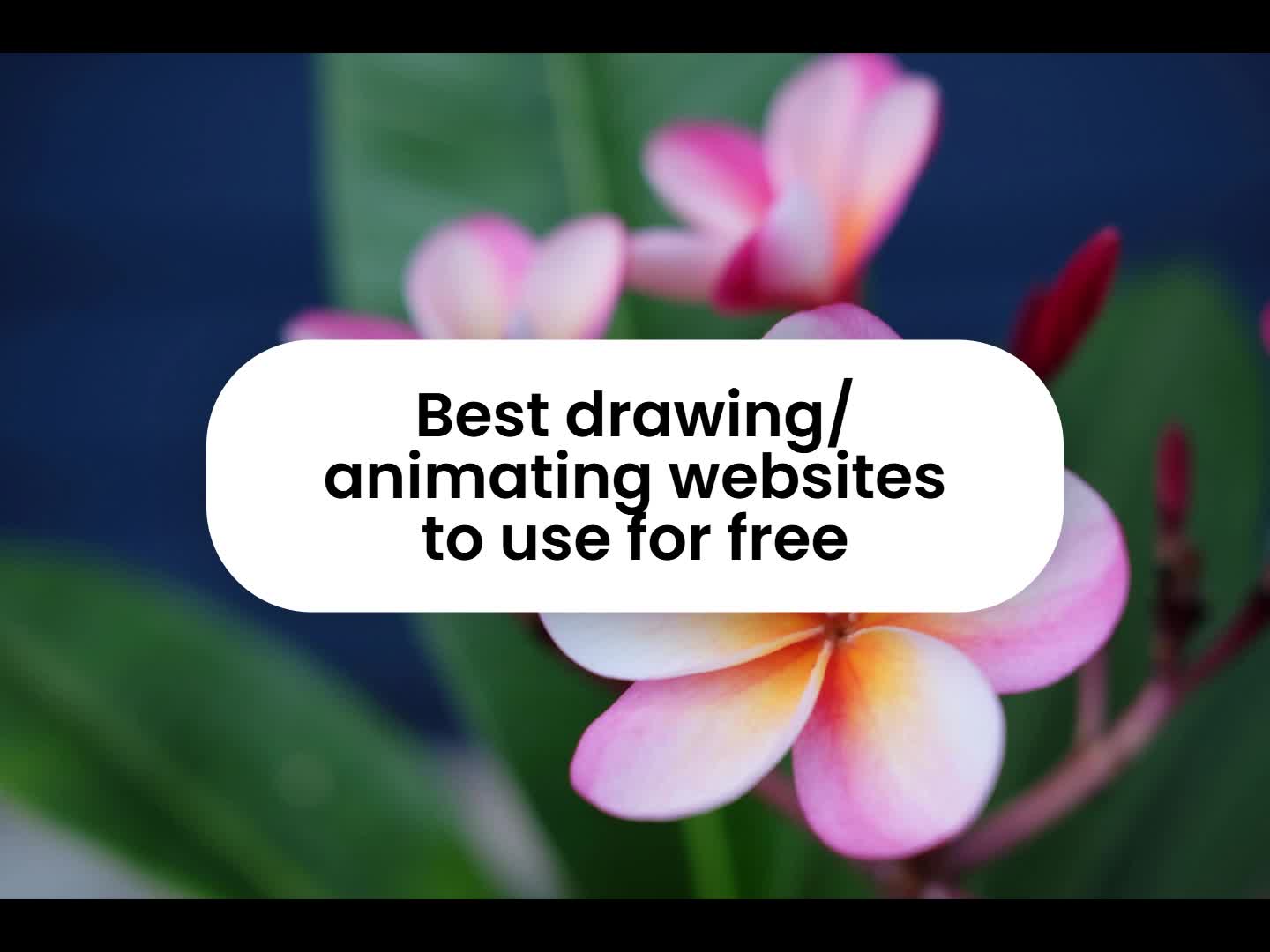 Best drawing/animating websites Best drawing/animating websites