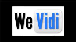 WeVidi Website Review
