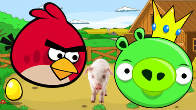 a angry birds film