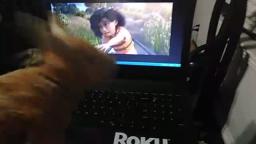 Mr. Horns watches loop