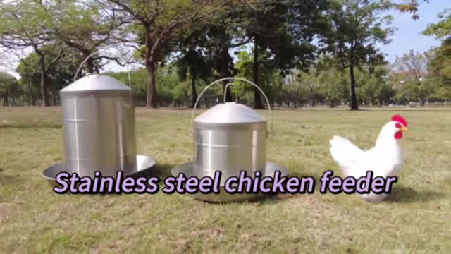 Upgrade Your Coop with Our Versatile Stainless Steel Chicken Feeder!
