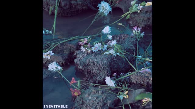 Rosamonte - Inevitable (Full Album)