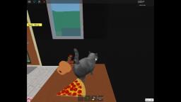 cat simulator roblox